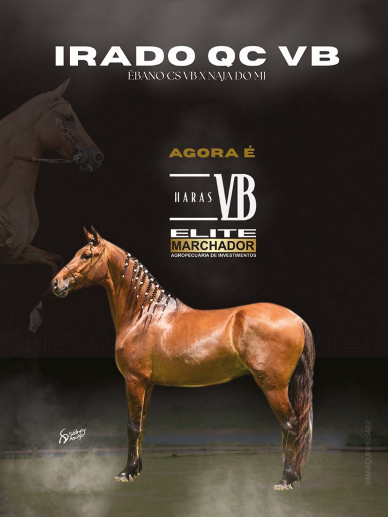 Página 29 Página 29