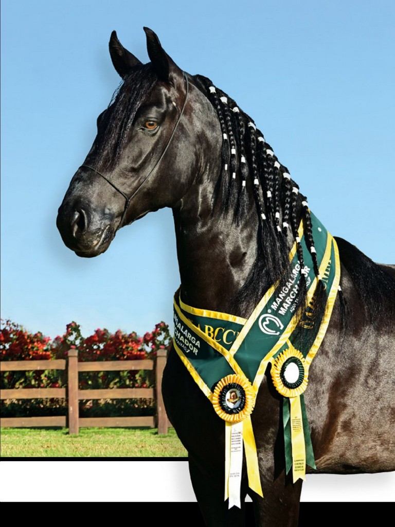 Página 31 Página 31