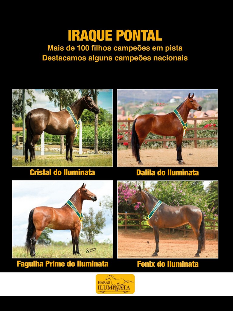 Página 32 Página 32