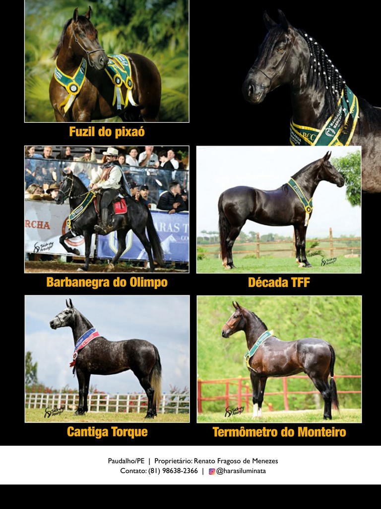 Página 33 Página 33