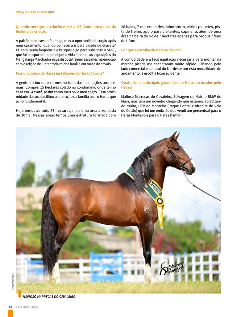 Página 36 Página 36