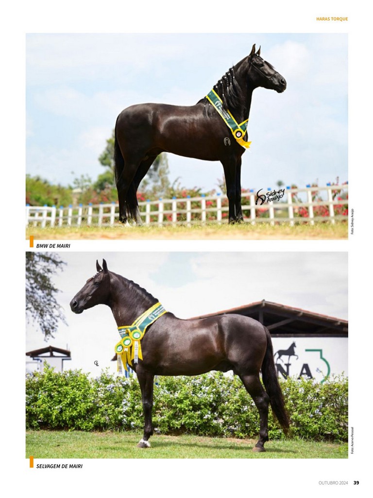 Página 39 Página 39