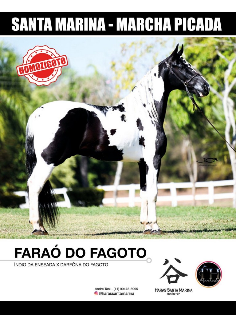 Página 40 Página 40