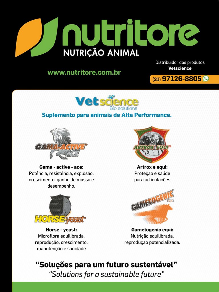 Página 41 Página 41