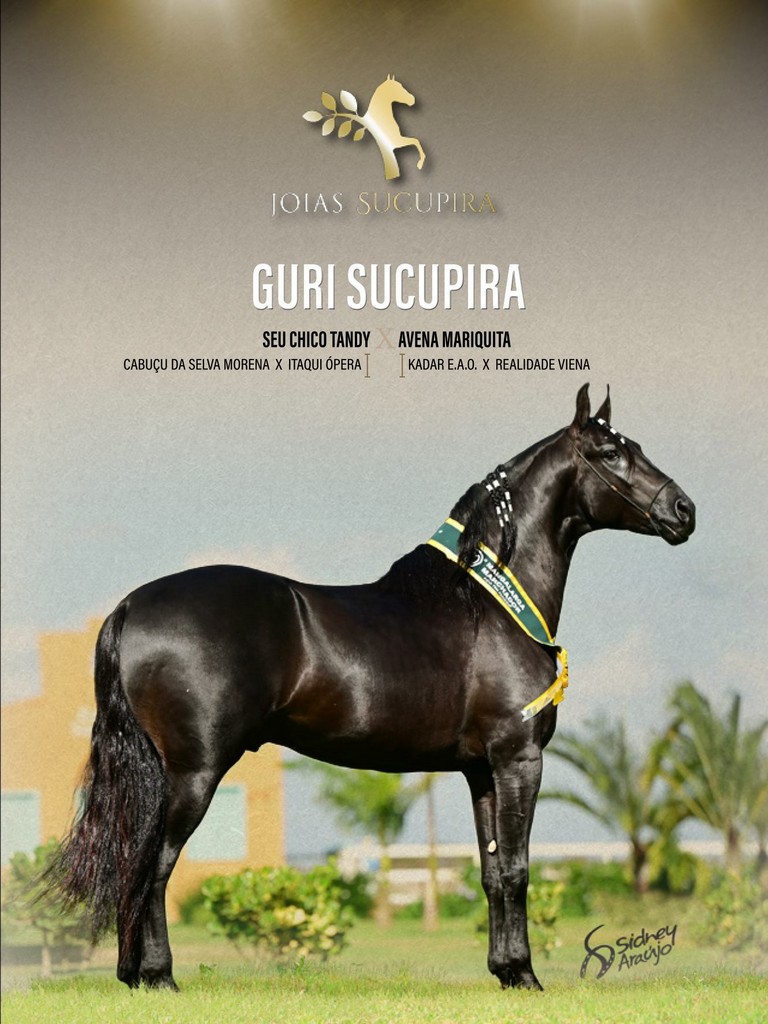 Página 45 Página 45