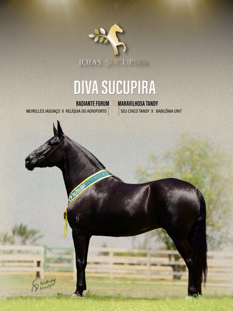 Página 46 Página 46