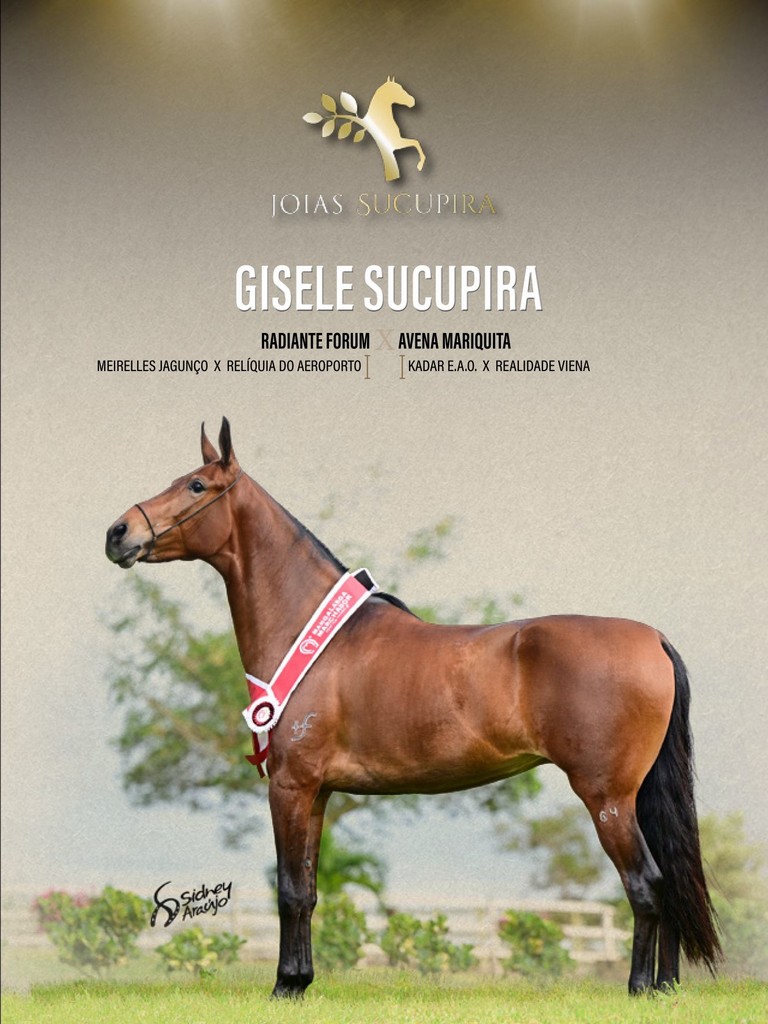 Página 47 Página 47