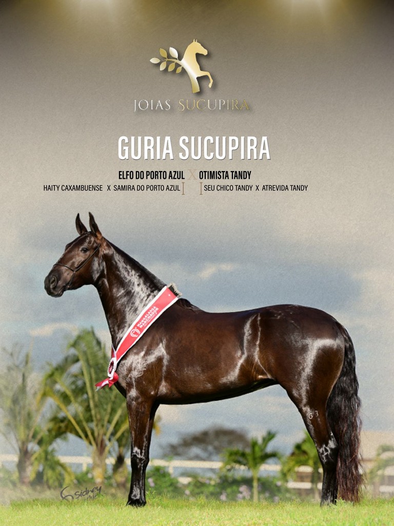 Página 48 Página 48