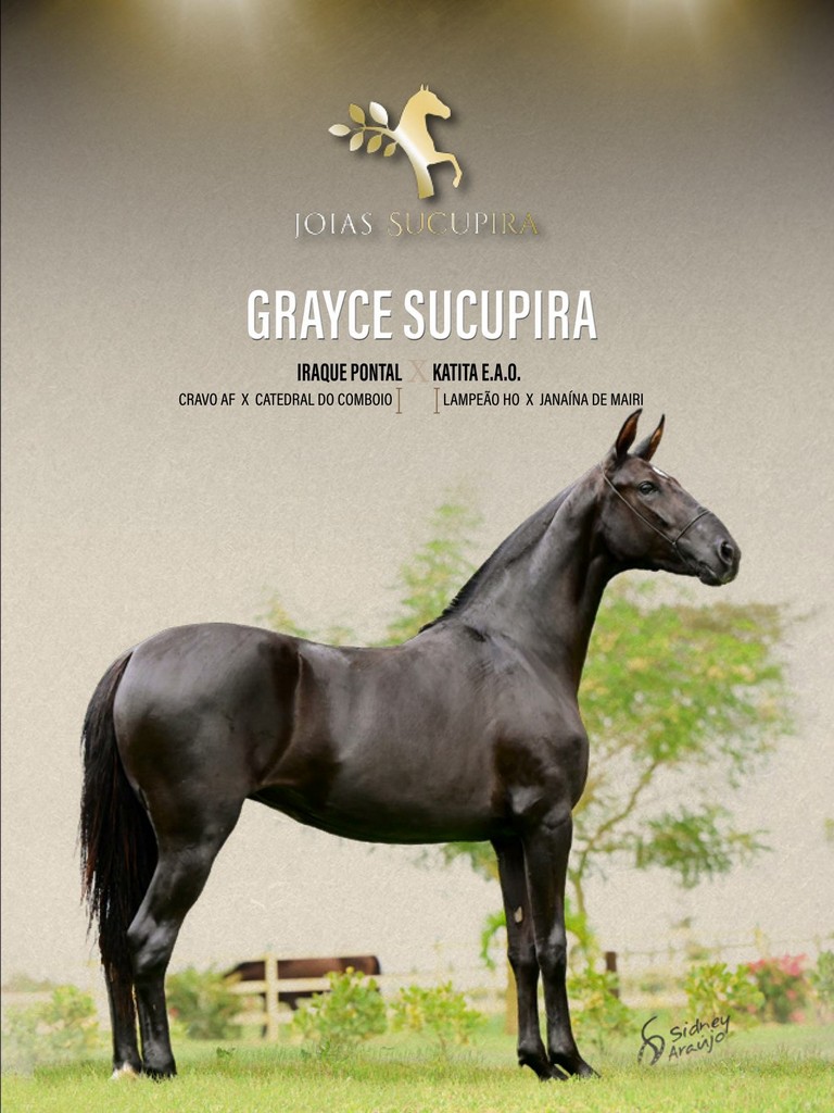 Página 49 Página 49