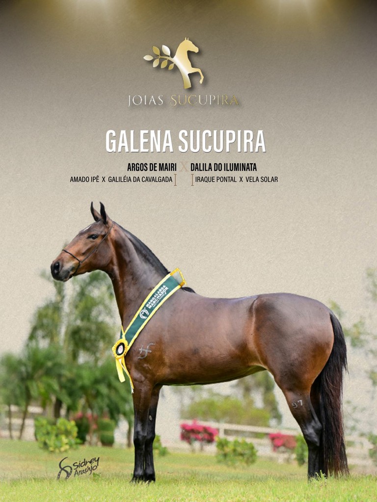 Página 50 Página 50