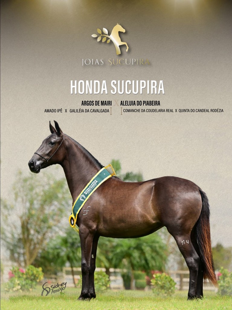 Página 51 Página 51