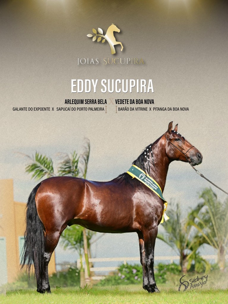 Página 52 Página 52