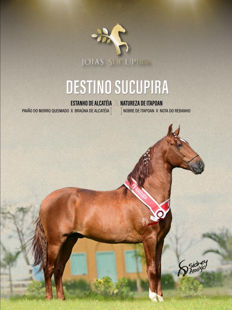 Página 53 Página 53