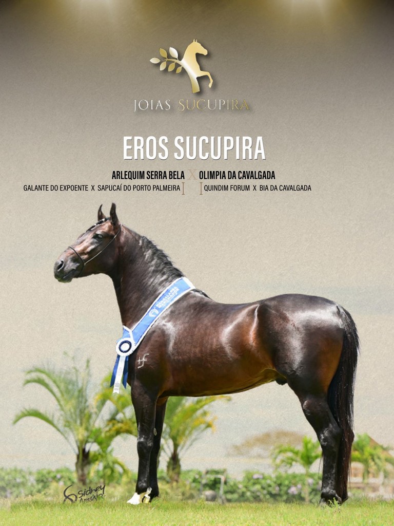 Página 54 Página 54