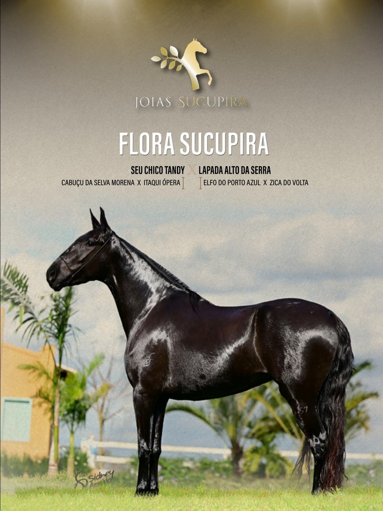 Página 55 Página 55