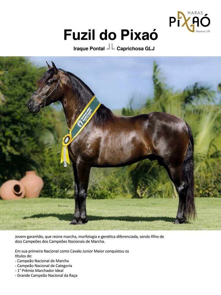 Página 60 Página 60