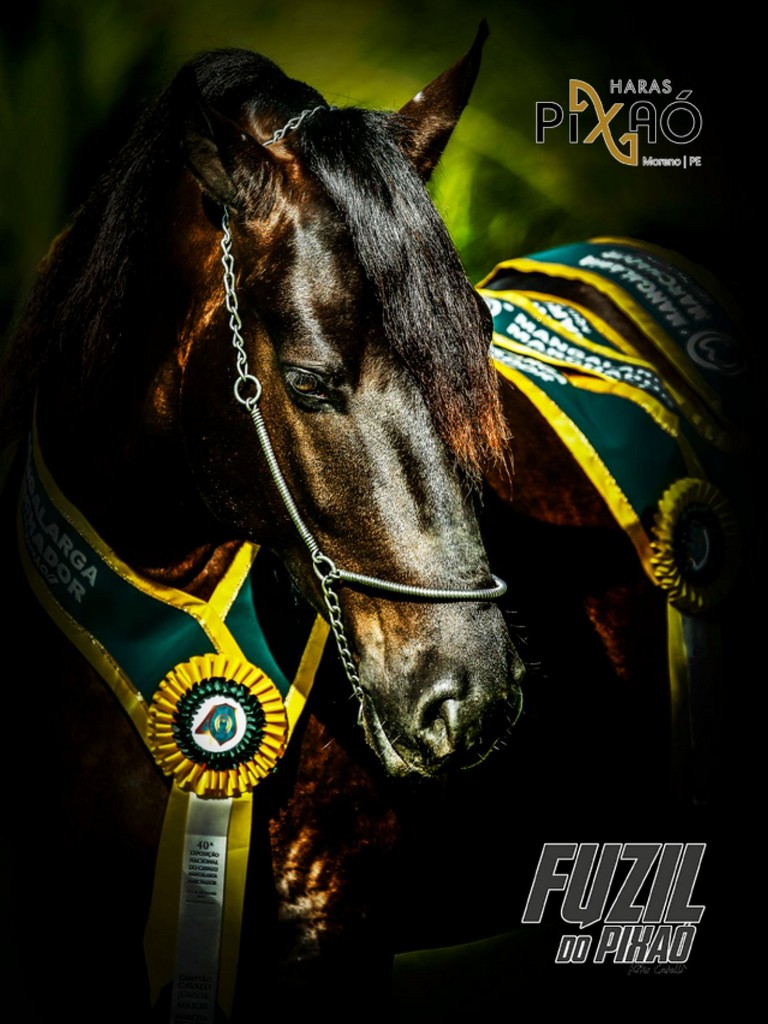 Página 61 Página 61