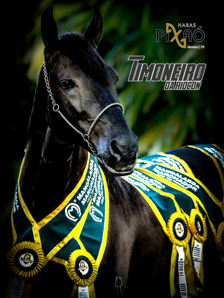 Página 63 Página 63