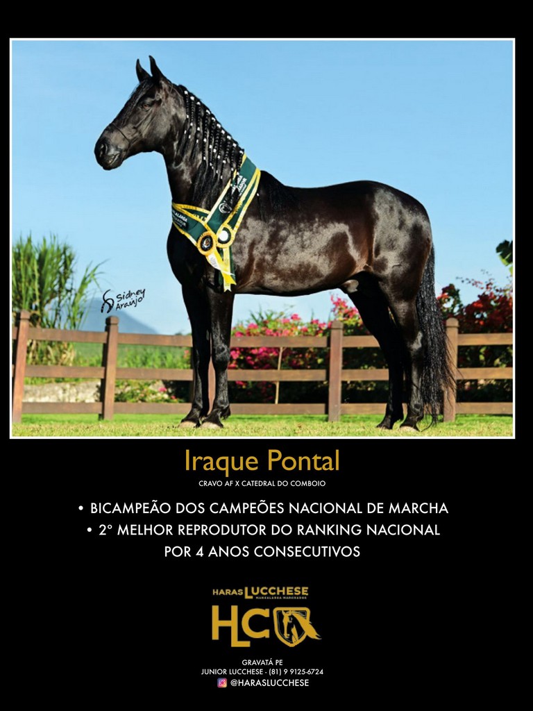 Página 64 Página 64