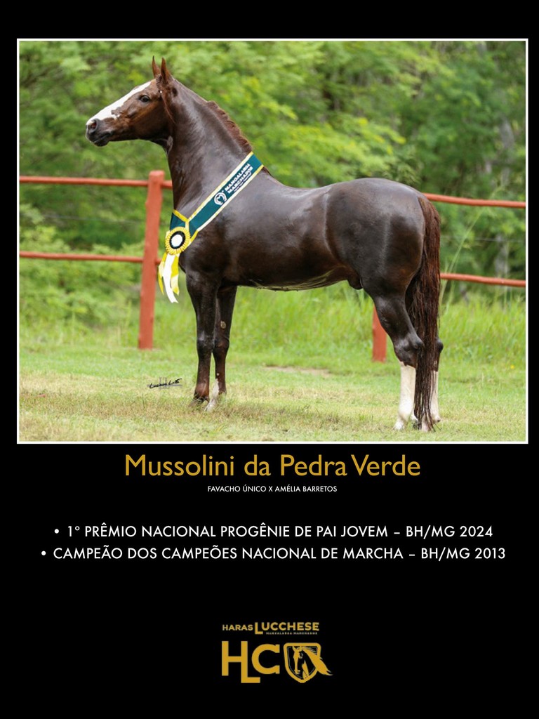 Página 65 Página 65