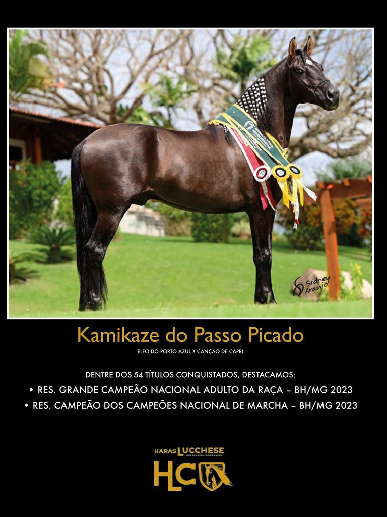 Página 66 Página 66