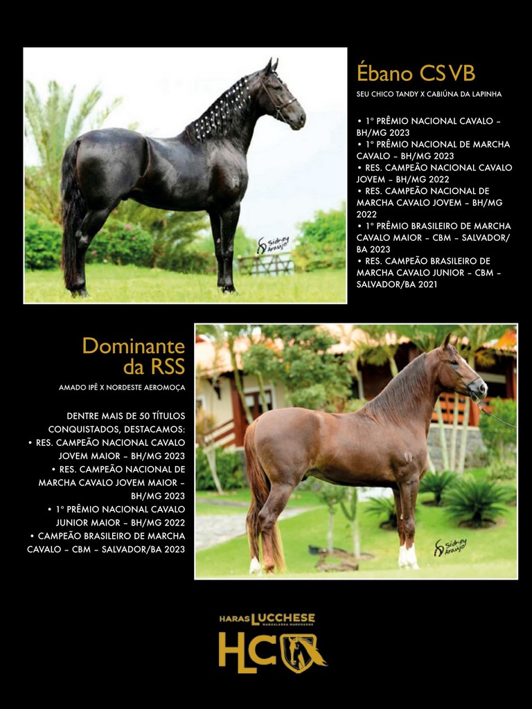 Página 67 Página 67