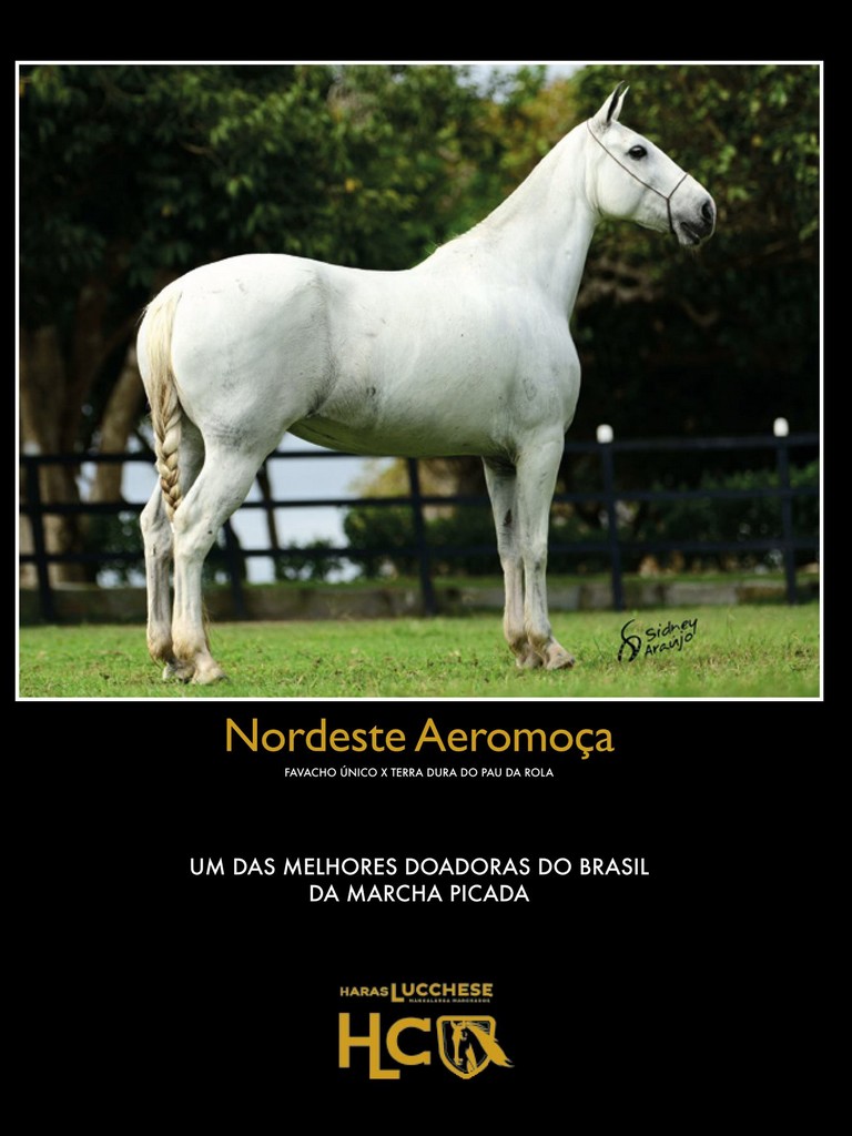 Página 68 Página 68