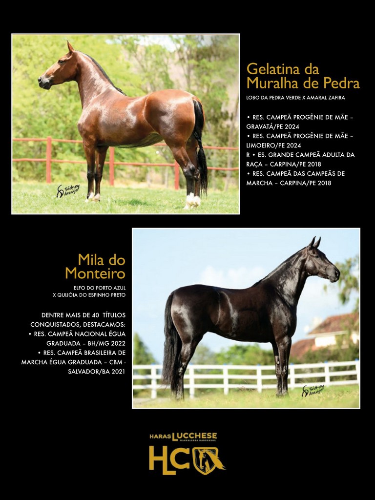 Página 70 Página 70