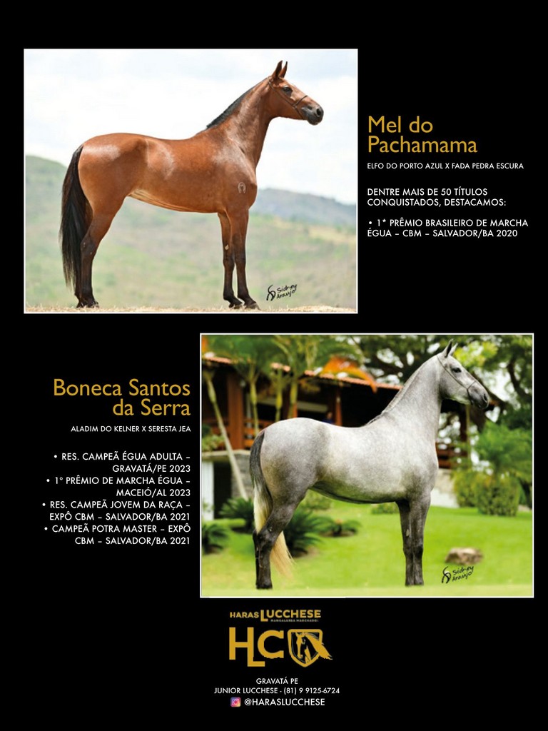 Página 71 Página 71