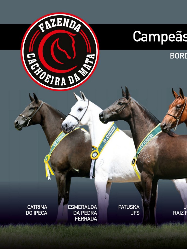 Página 72 Página 72