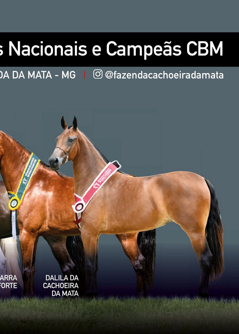 Página 73 Página 73