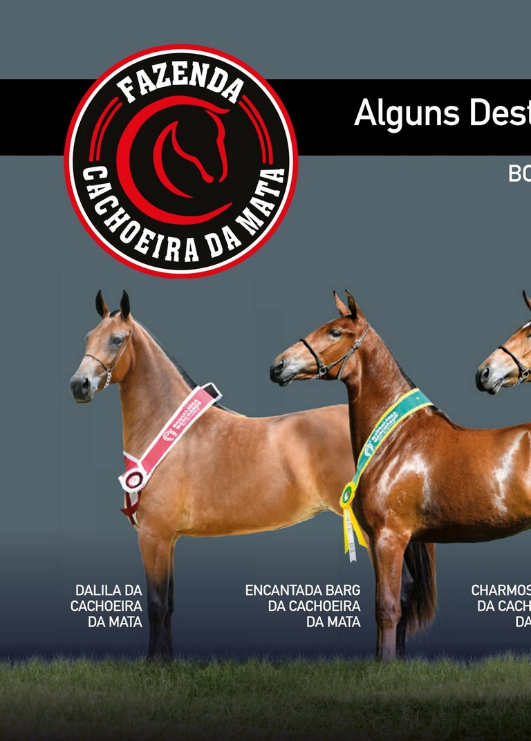 Página 74 Página 74