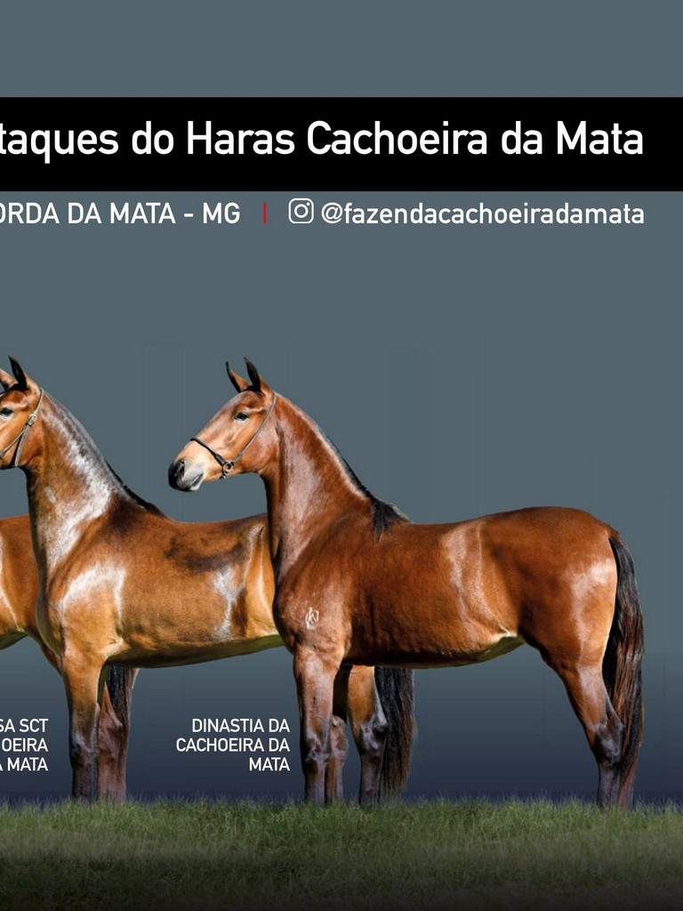 Página 75 Página 75