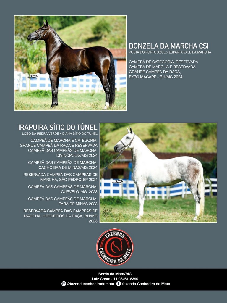 Página 77 Página 77