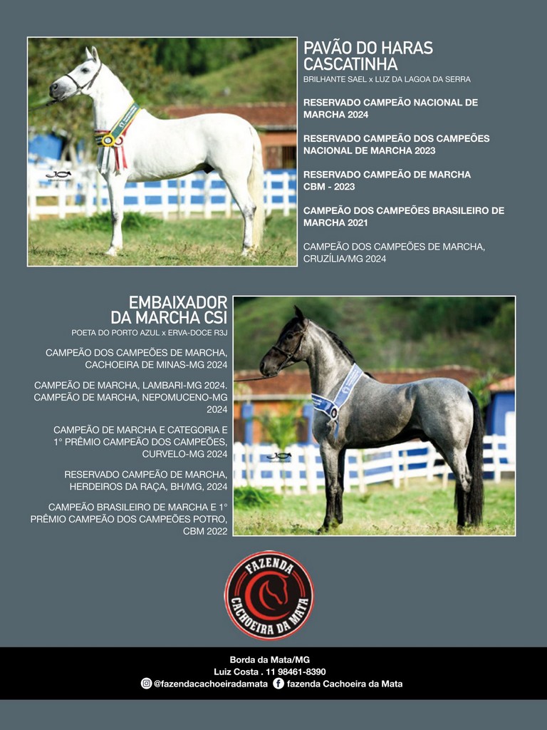 Página 78 Página 78