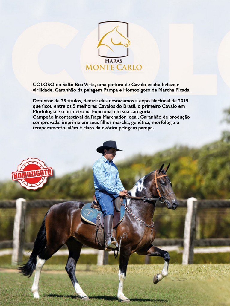 Página 80 Página 80