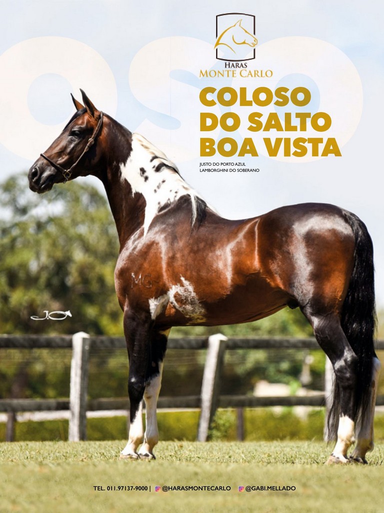 Página 81 Página 81