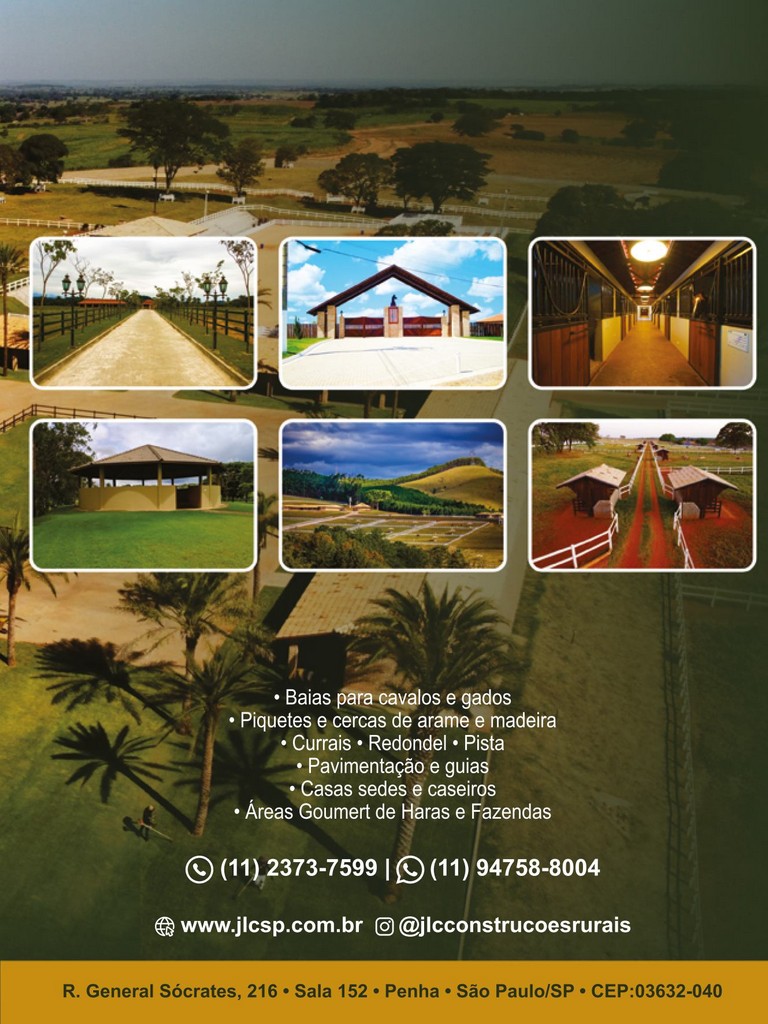 Página 85 Página 85