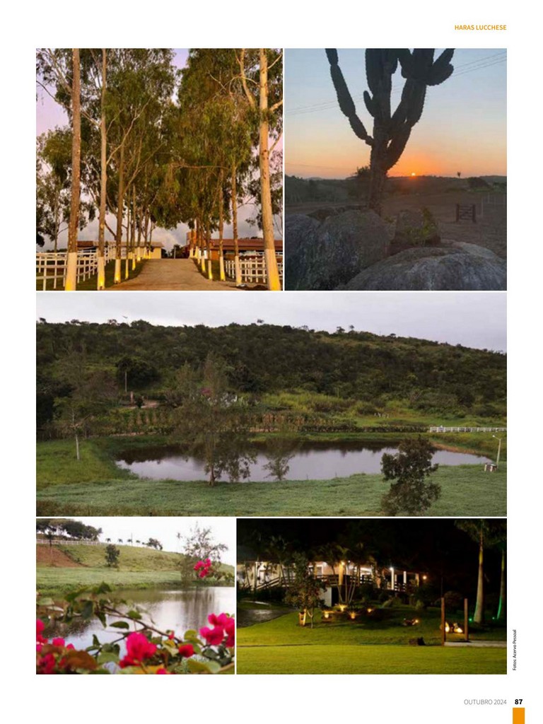 Página 87 Página 87