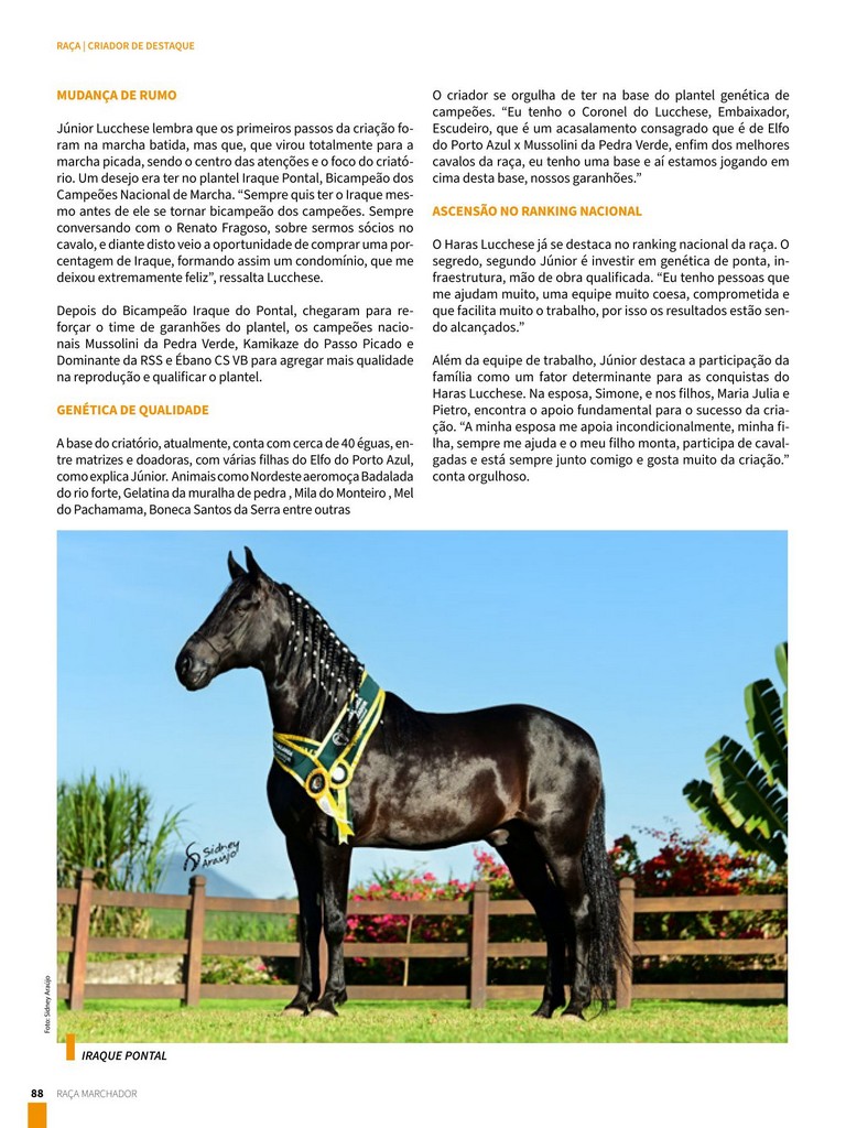 Página 88 Página 88