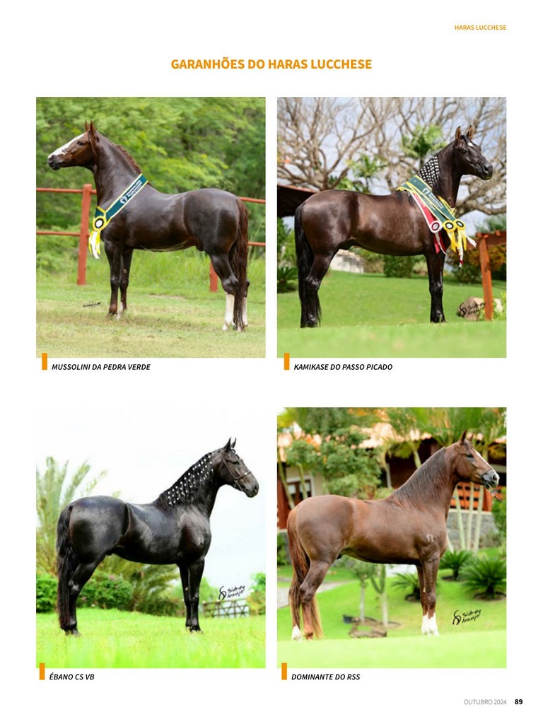 Página 89 Página 89