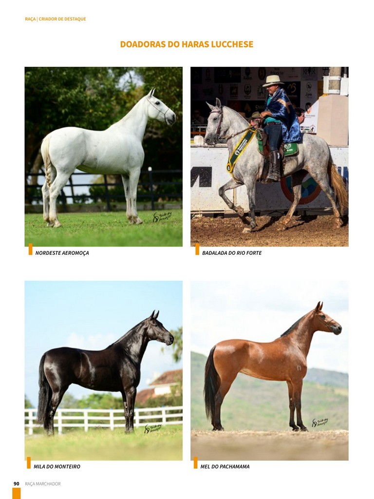 Página 90 Página 90