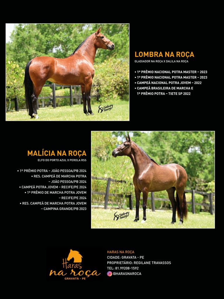 Página 94 Página 94