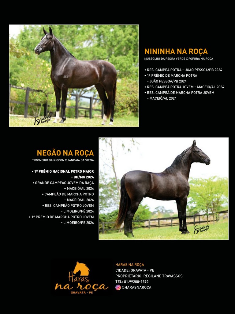 Página 95 Página 95