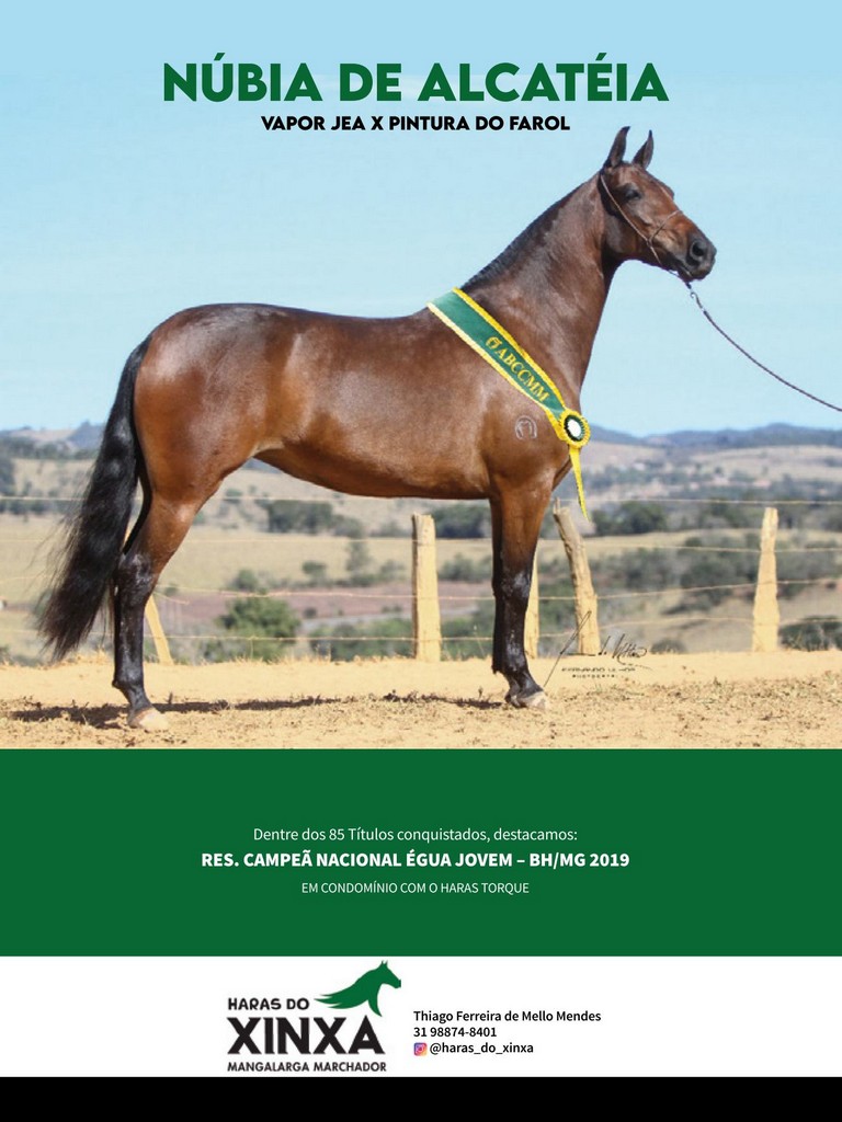 Página 96 Página 96