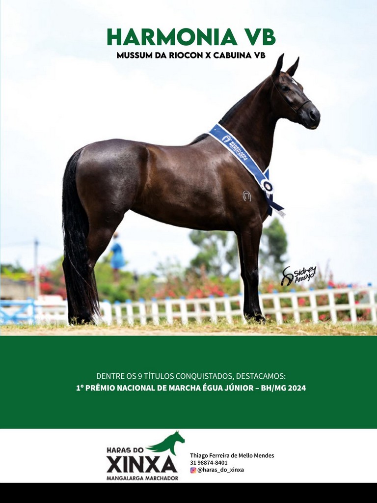 Página 97 Página 97