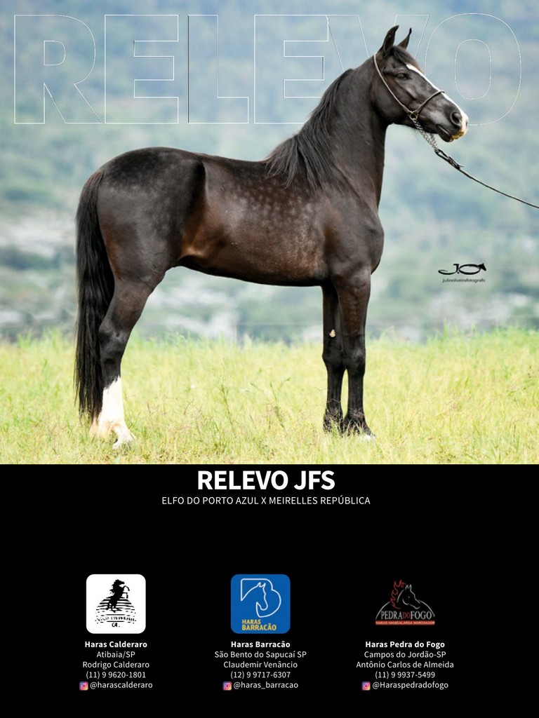 Página 98 Página 98