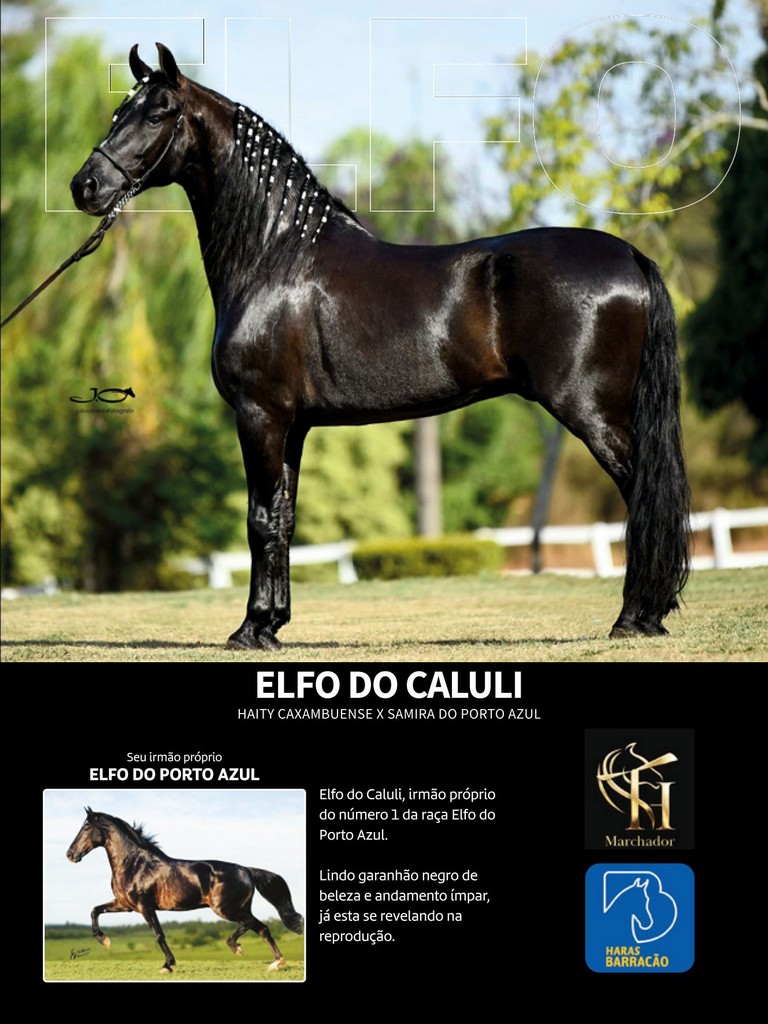 Página 99 Página 99