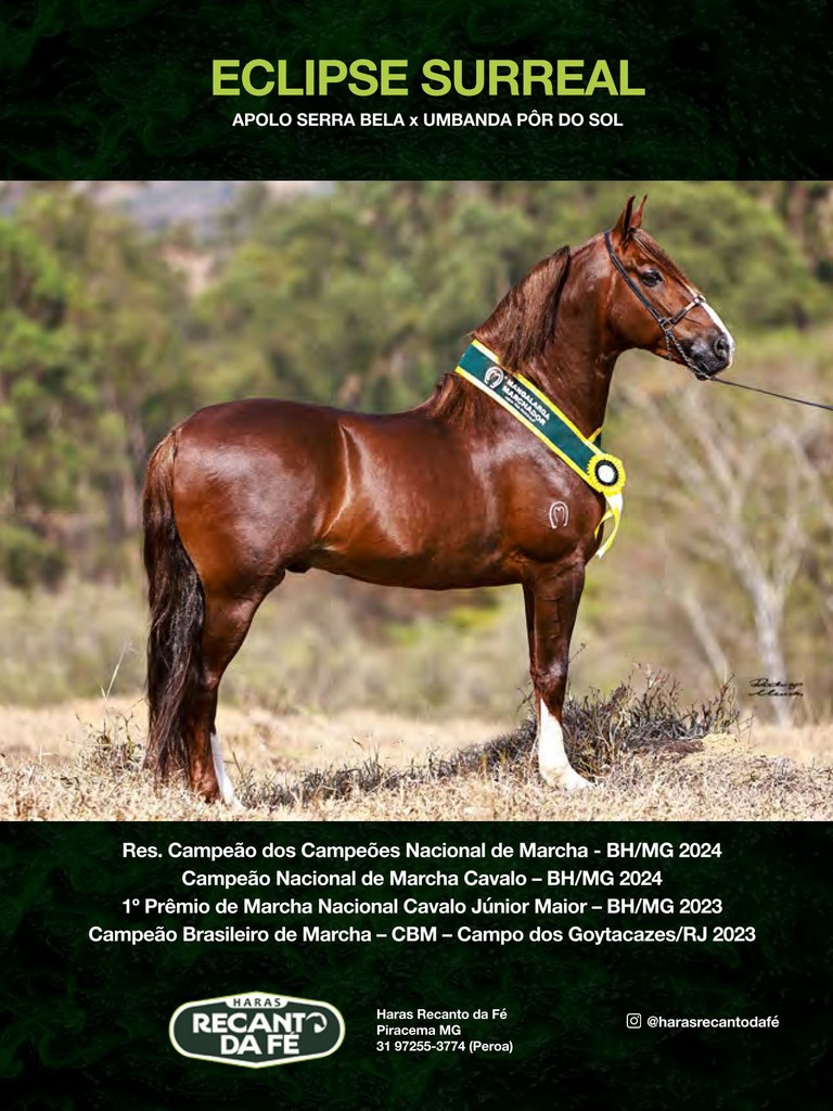 Página 101 Página 101