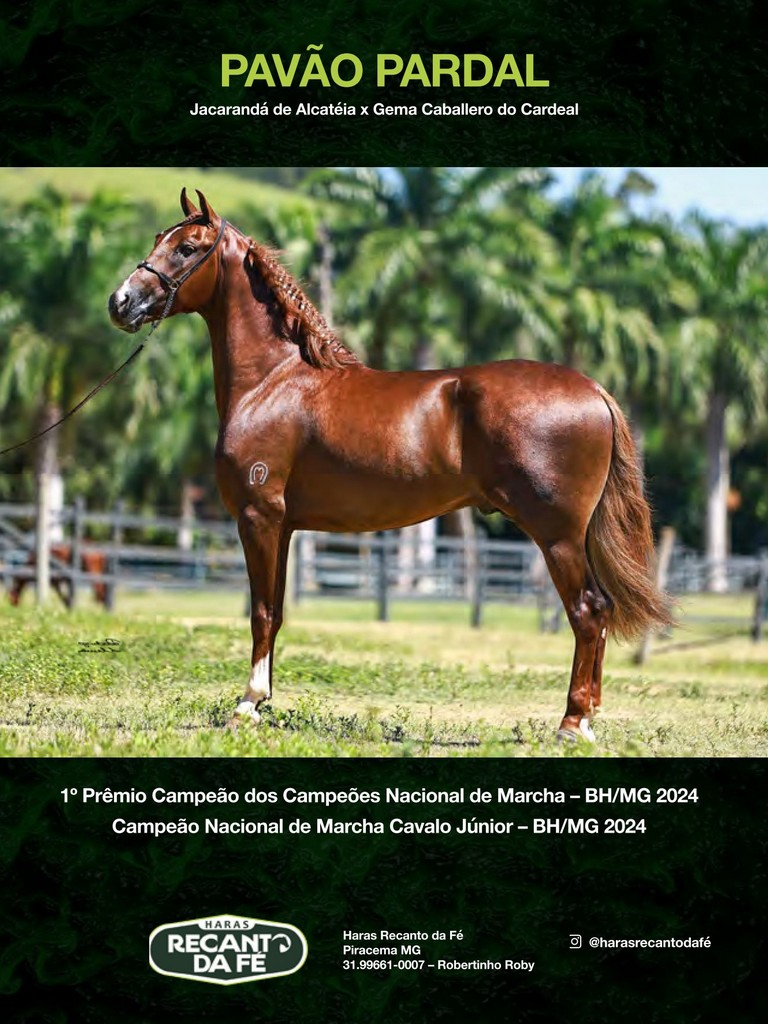 Página 102 Página 102